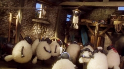 بره ناقلا (شاون کوئک کوئک می کند)